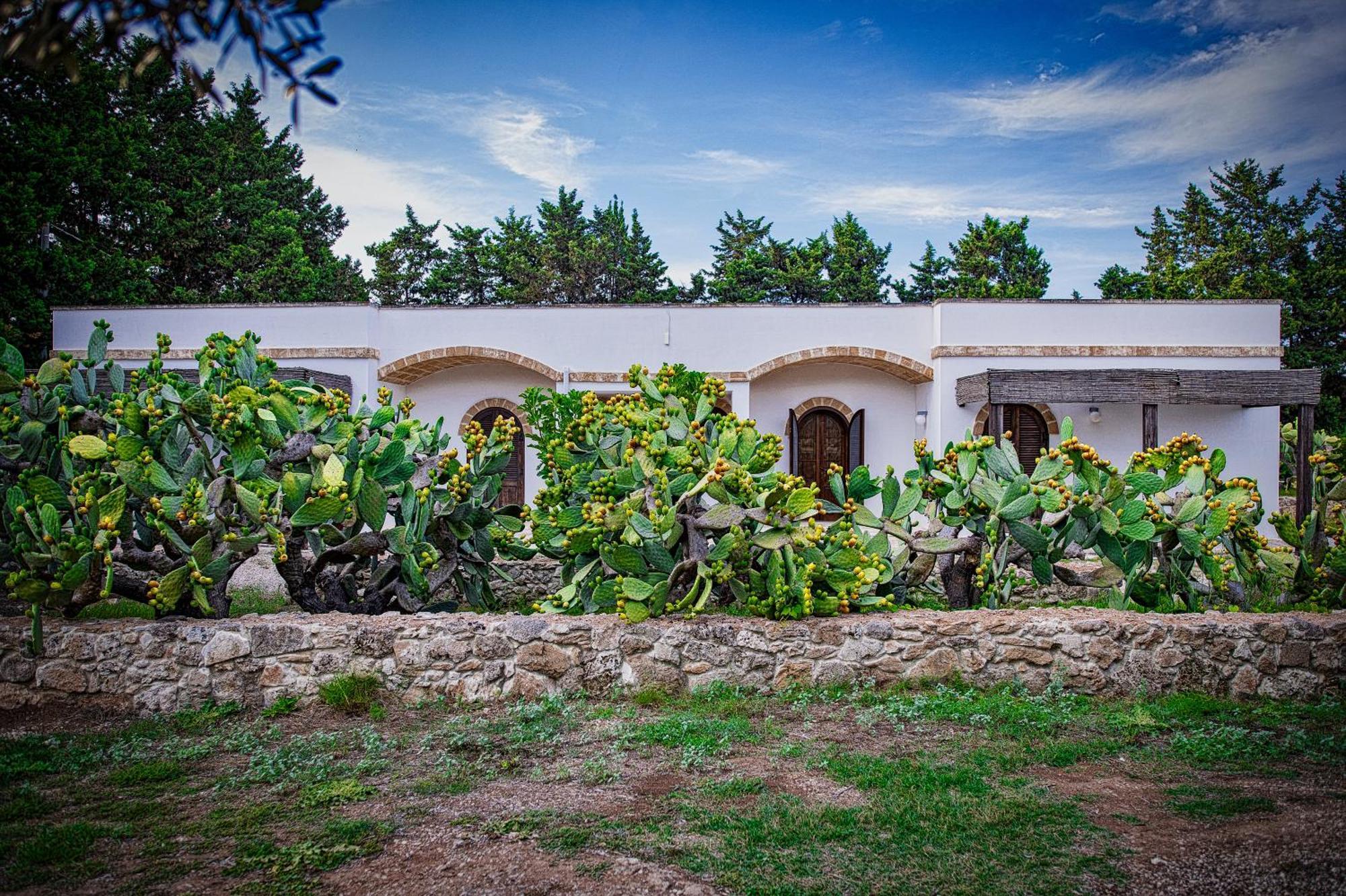 Villa Torre Casciani Ugento Exterior foto